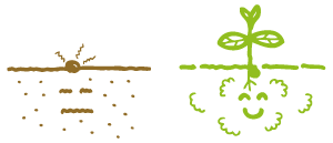 子宮苗床論に基づいた考え方1